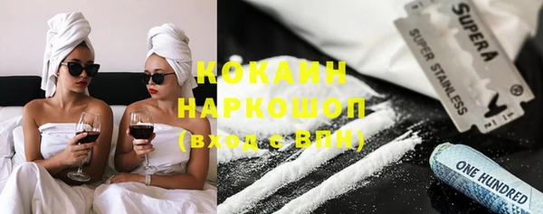 сатива Каменка