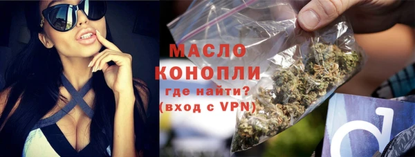 сатива Каменка