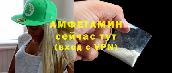 сатива Каменка