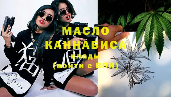 сатива Каменка