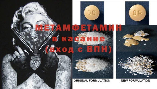 сатива Каменка