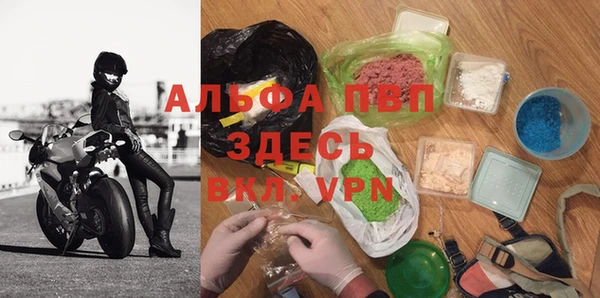 скорость Каменногорск
