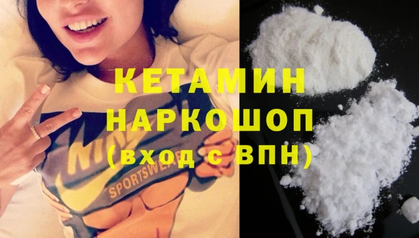 сатива Каменка