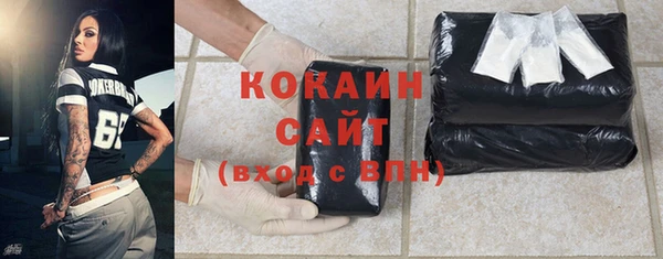 сатива Каменка