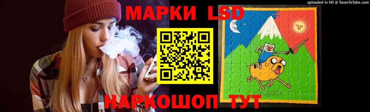 A PVP Рыбинск