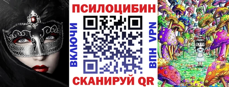 Псилоцибиновые грибы Psilocybe  Рыбинск 