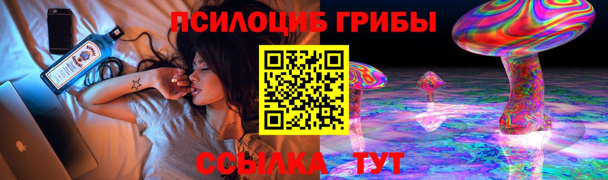 Галлюциногенные грибы Psilocybine cubensis  Рыбинск  Псилоцибиновые грибы мицелий 